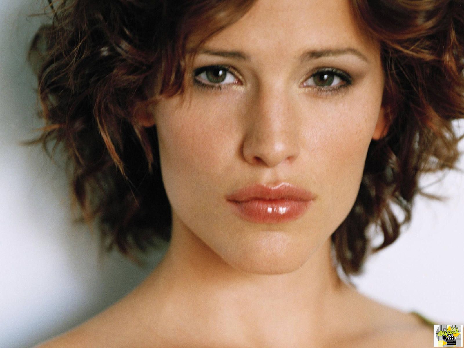 garner1281600x1200