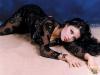 HaifaaWehbe10
